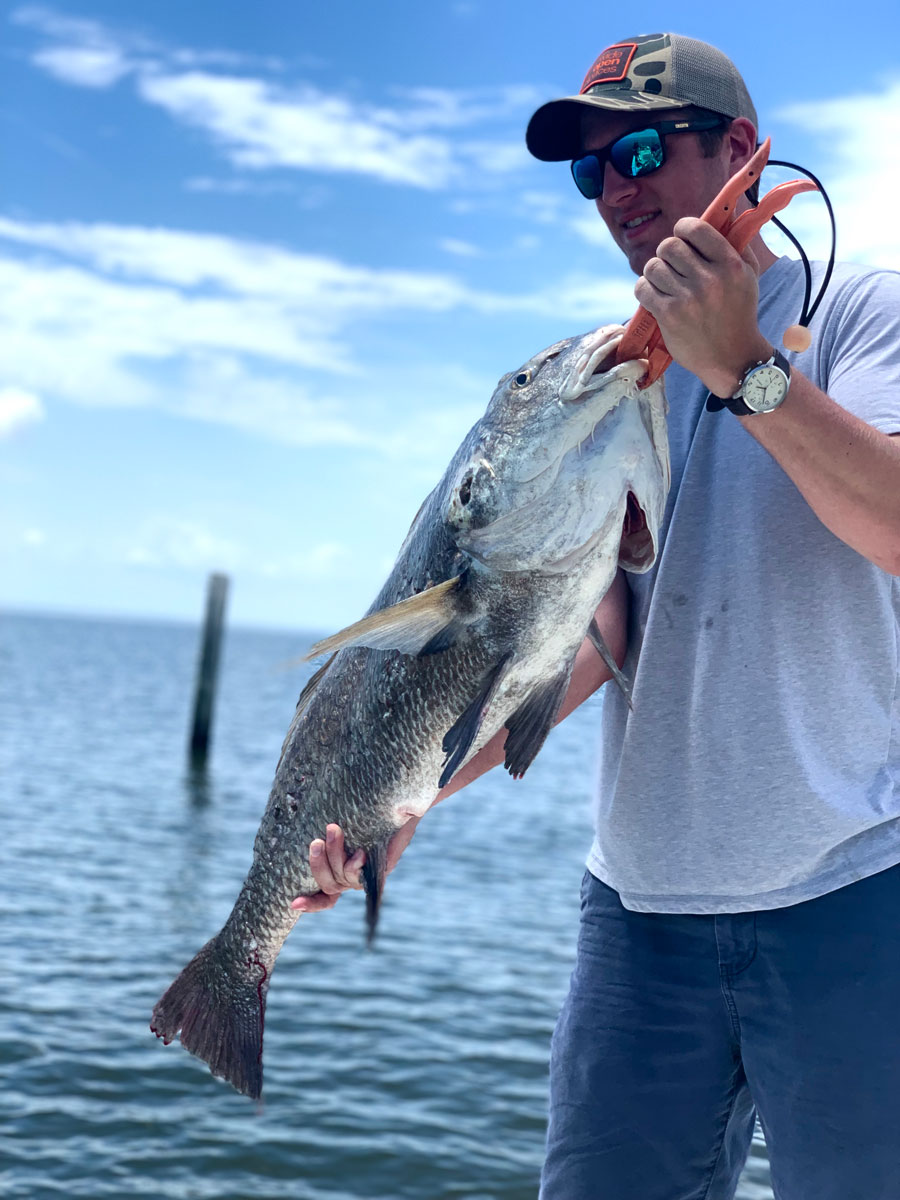 Coastal Mississippi