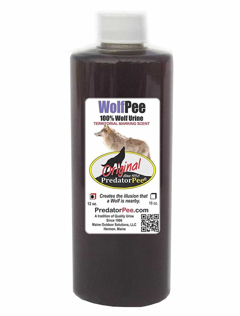 Bottle of wolf urine available on Amazon