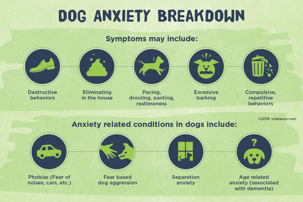 Dog Anxiety Breakdown