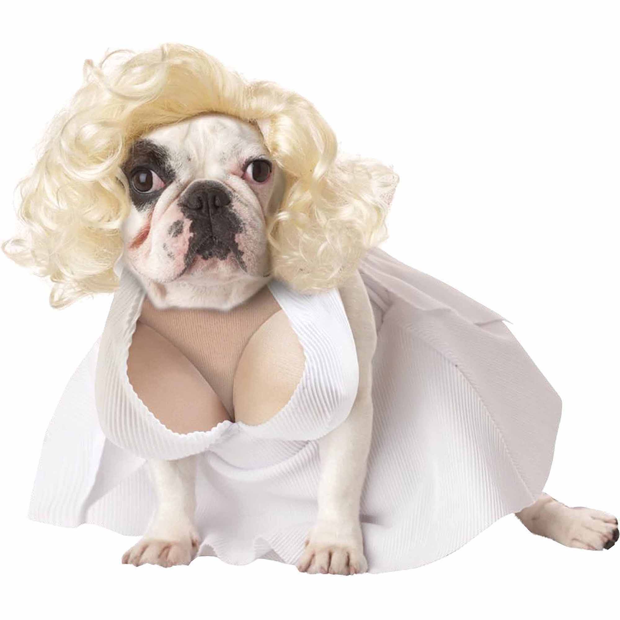 dog halloween costume