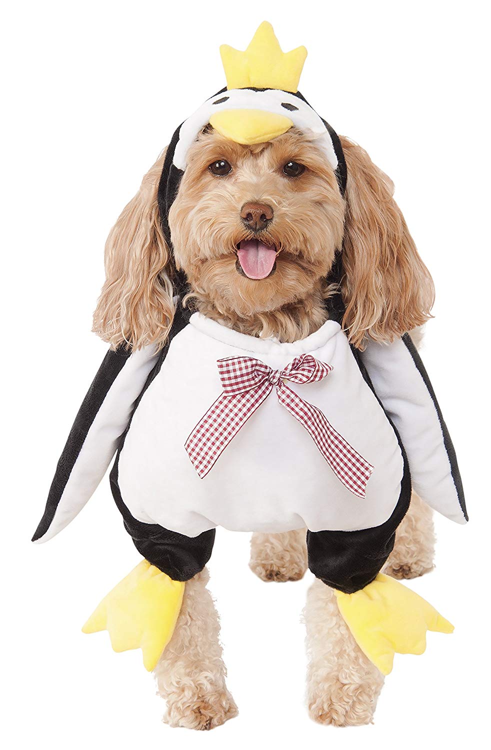 dog halloween costume