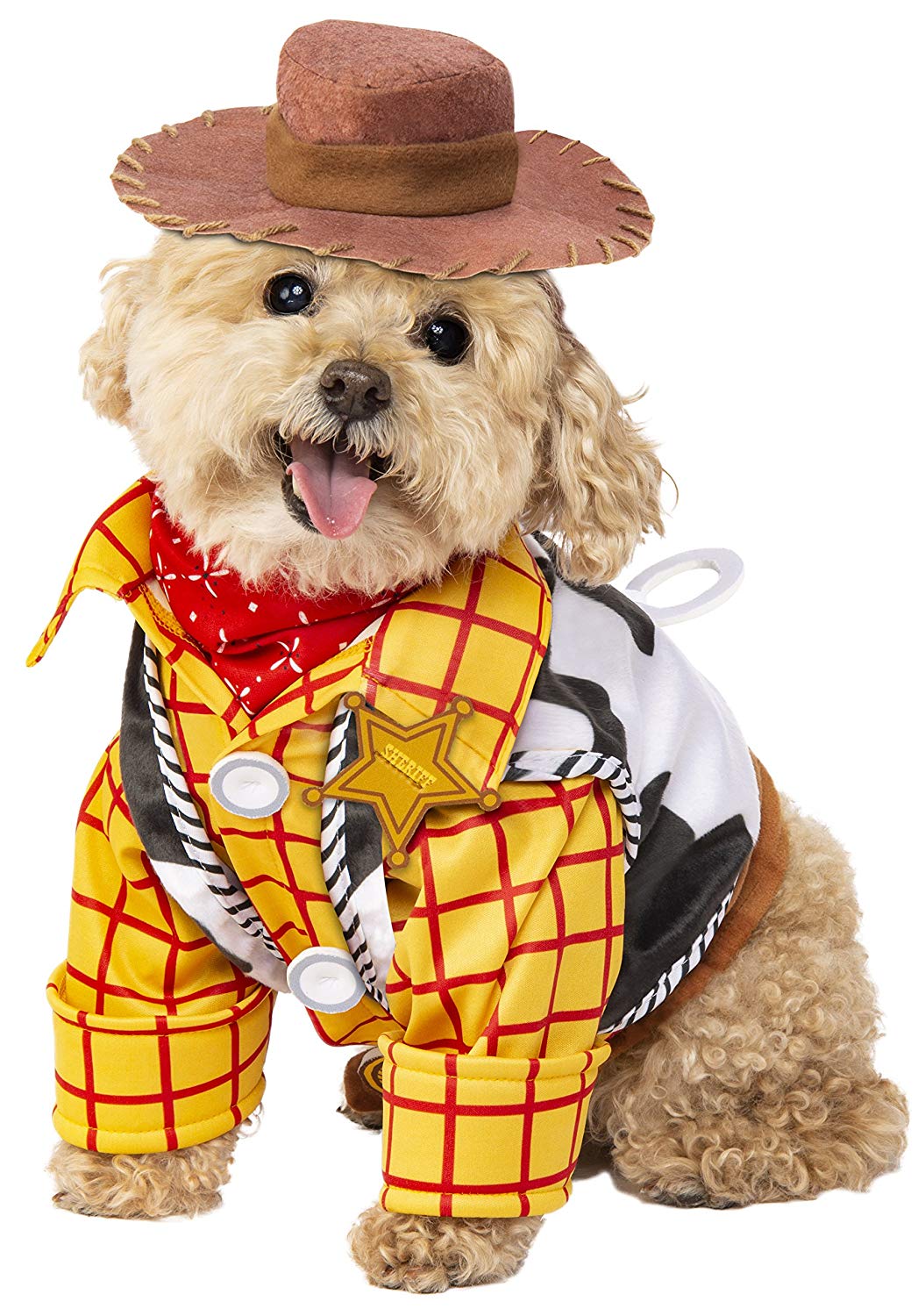 dog halloween costume