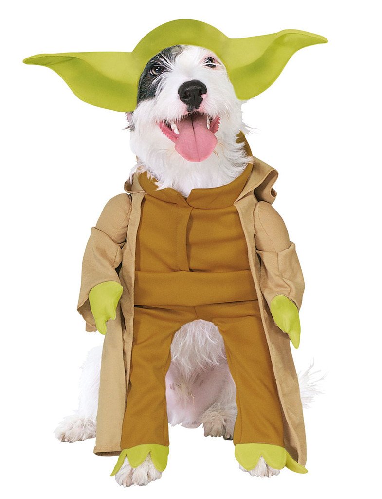 yoda costume