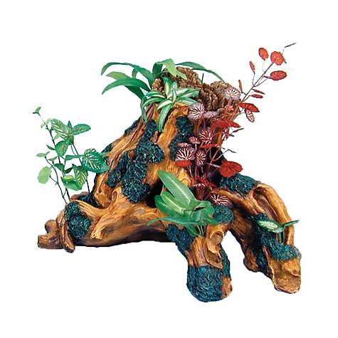 Penn Plax Trunk Style Driftwood Garden