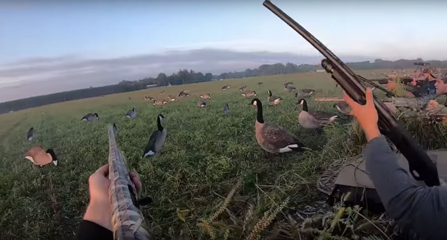 goose hunting