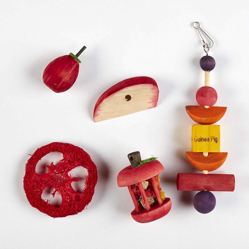 guinea pig toys