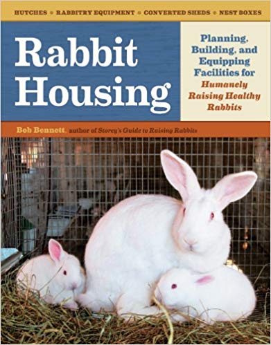 rabbit housing planning