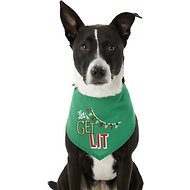 Pup Crew Let's Get Lit Dog & Cat Bandana