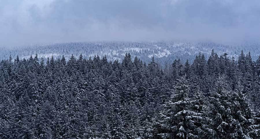 Winter Survival Gear
