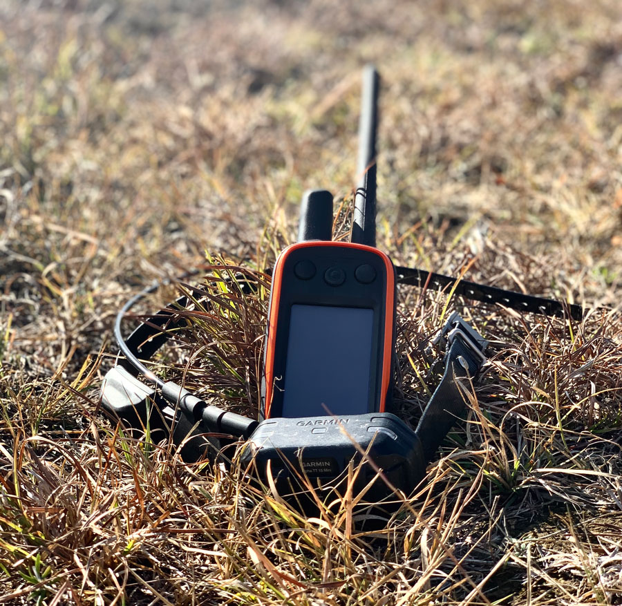 Garmin Alpha