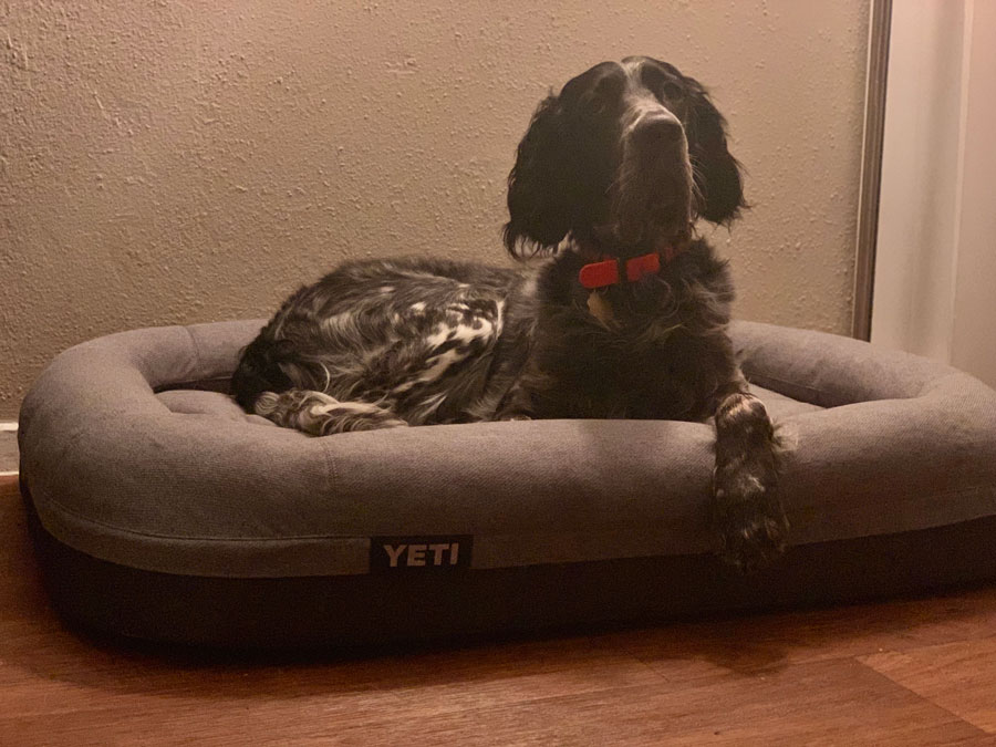 yeti dog bed