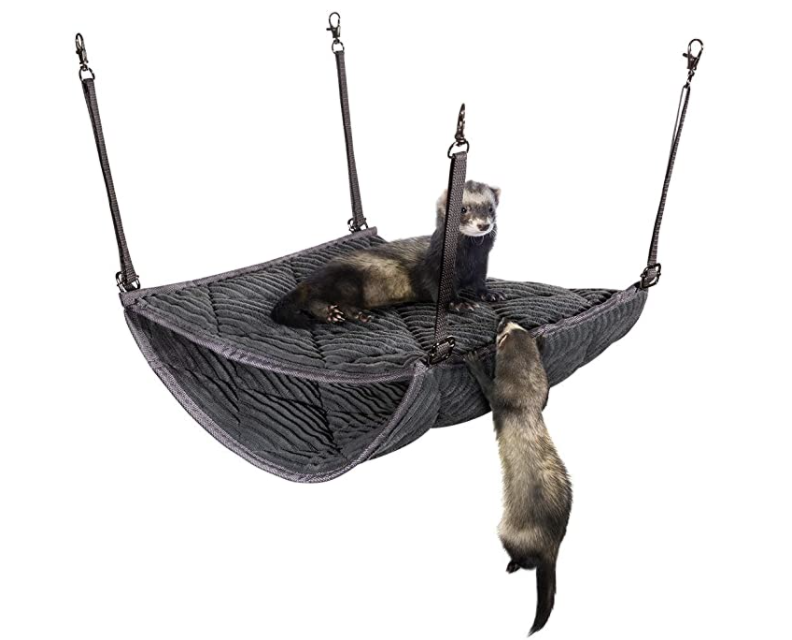 Ferret double bunkbed hammock, Amazon