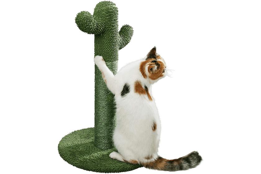 best cat scratching posts