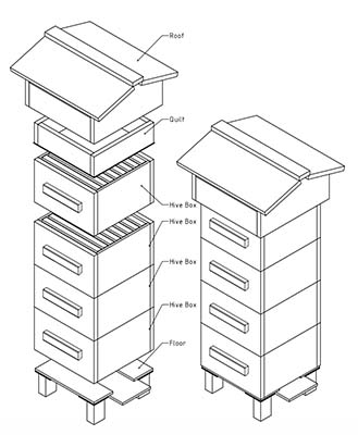 18 Warre Bee Hive