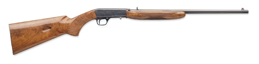 best 22 Rifles