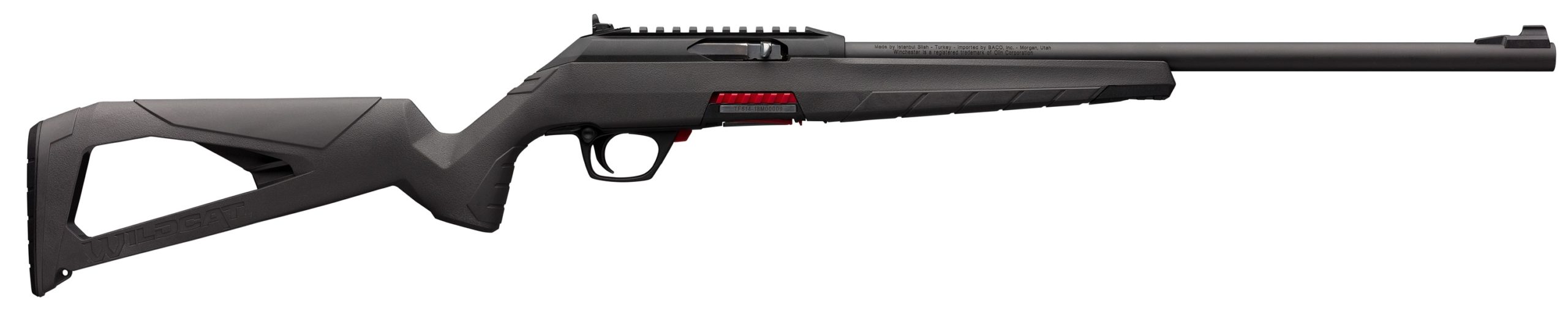 best 22 Rifles
