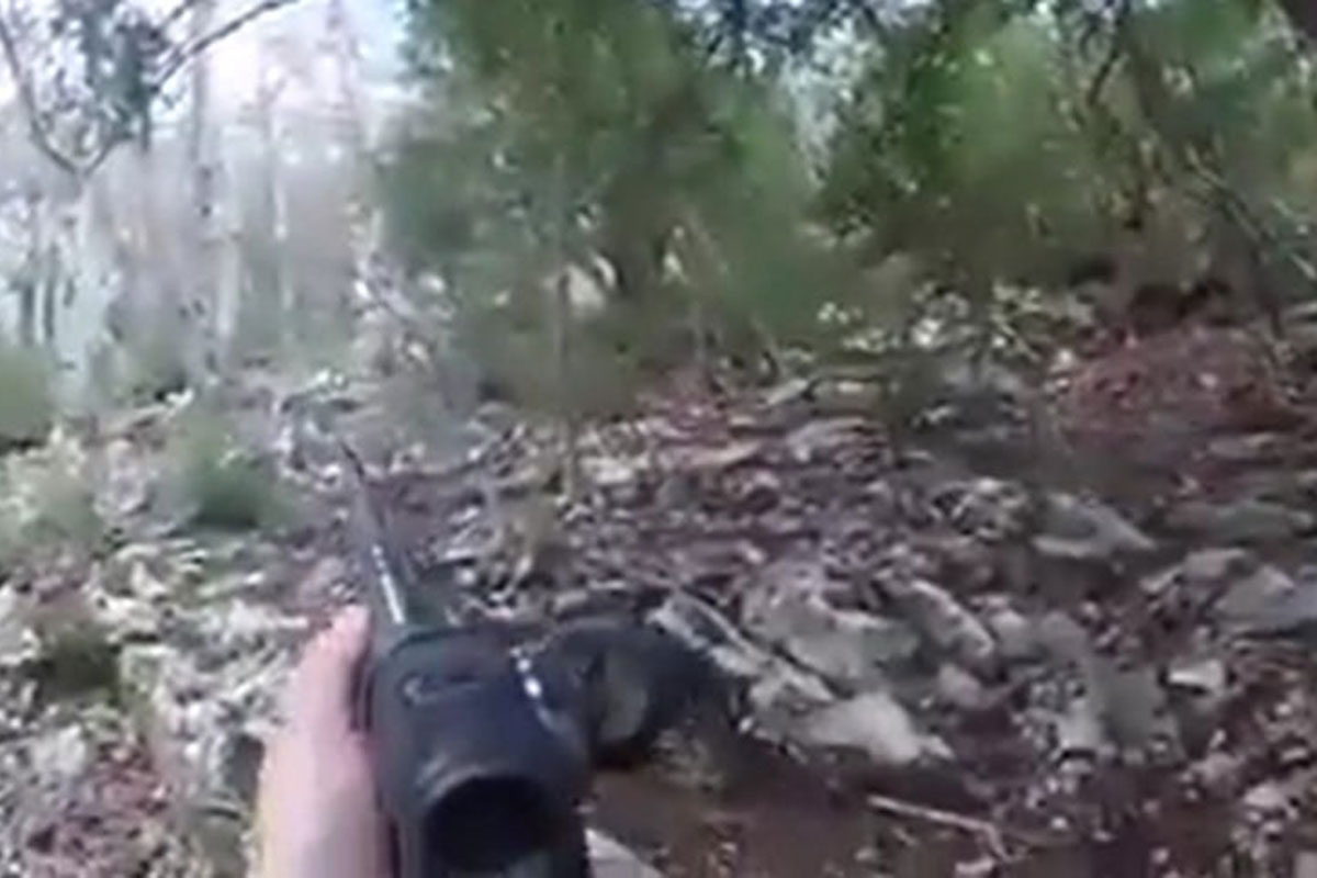 hog hunting