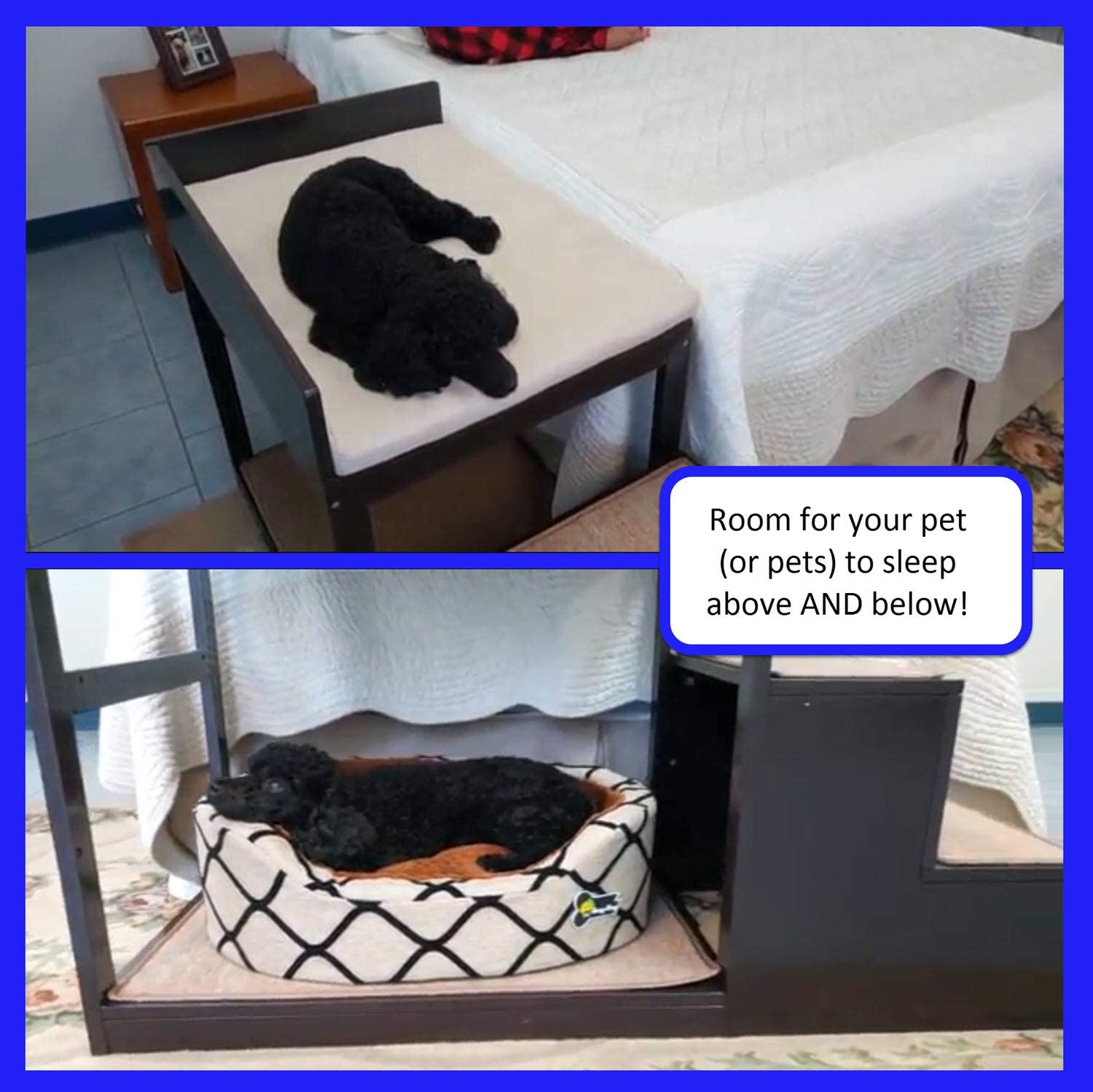 dog bed