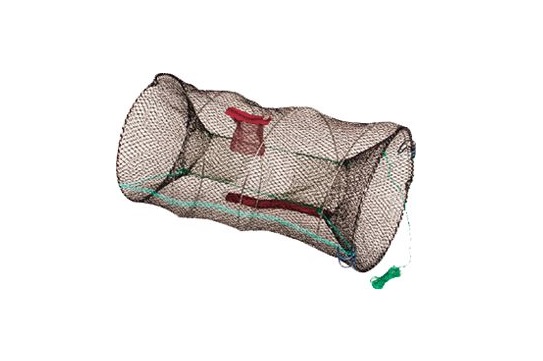 Minnow Trap