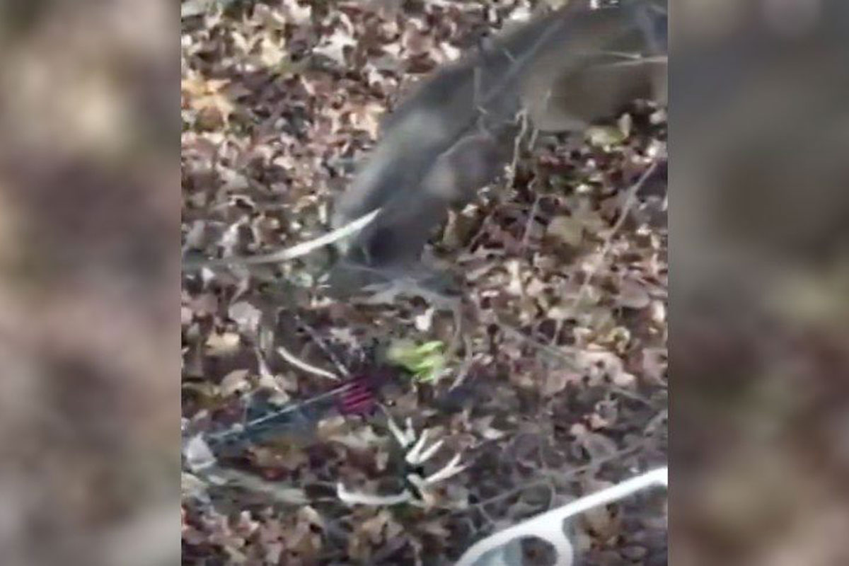 deer hunting