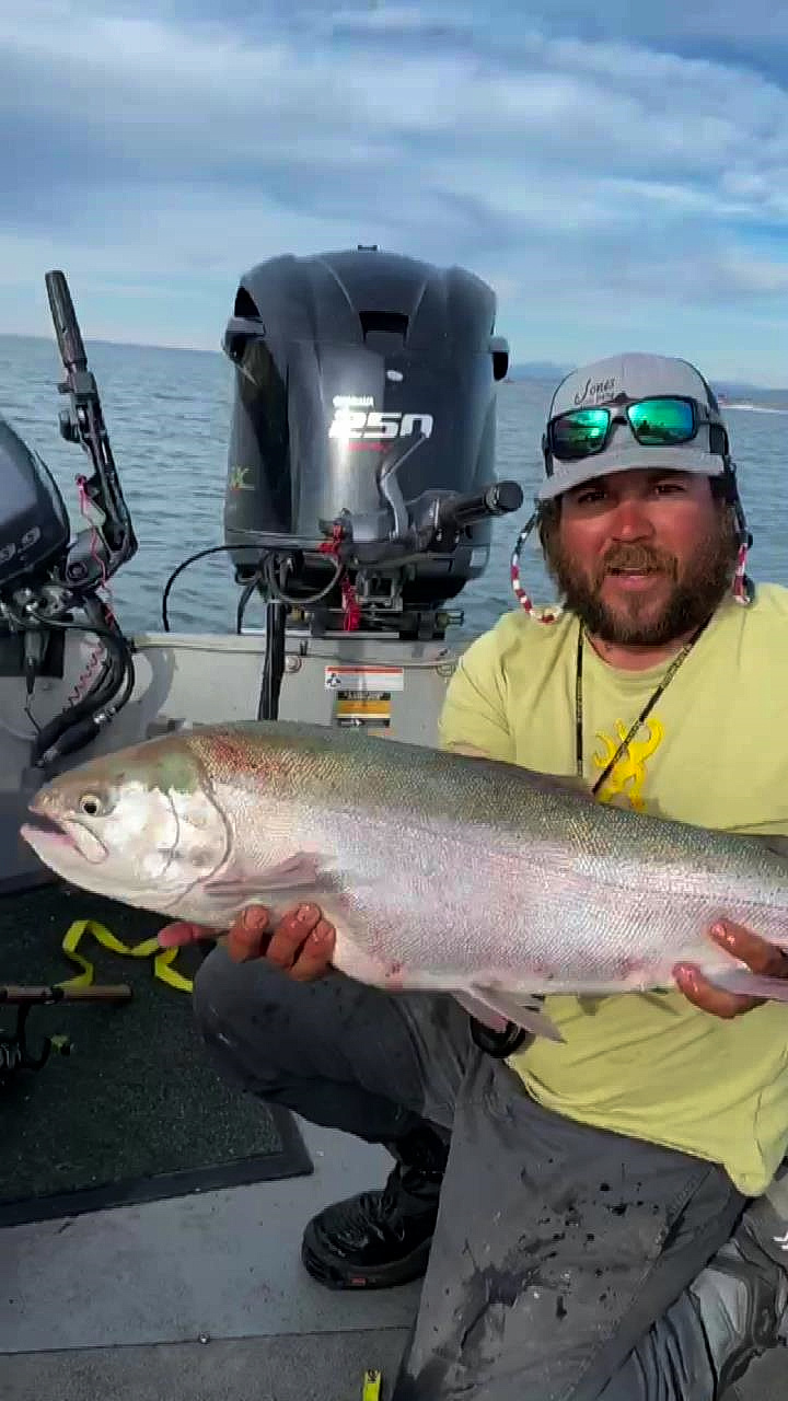 Rainbow Trout
