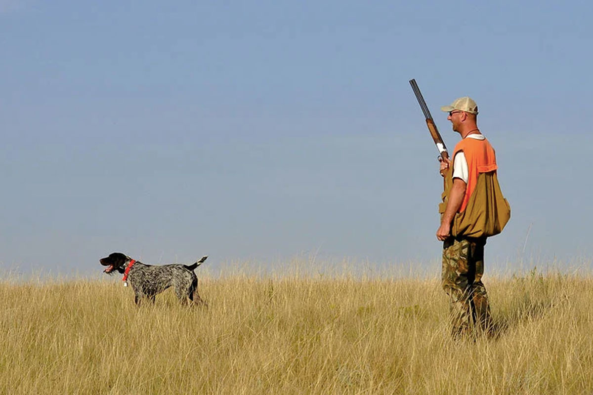 upland hunting
