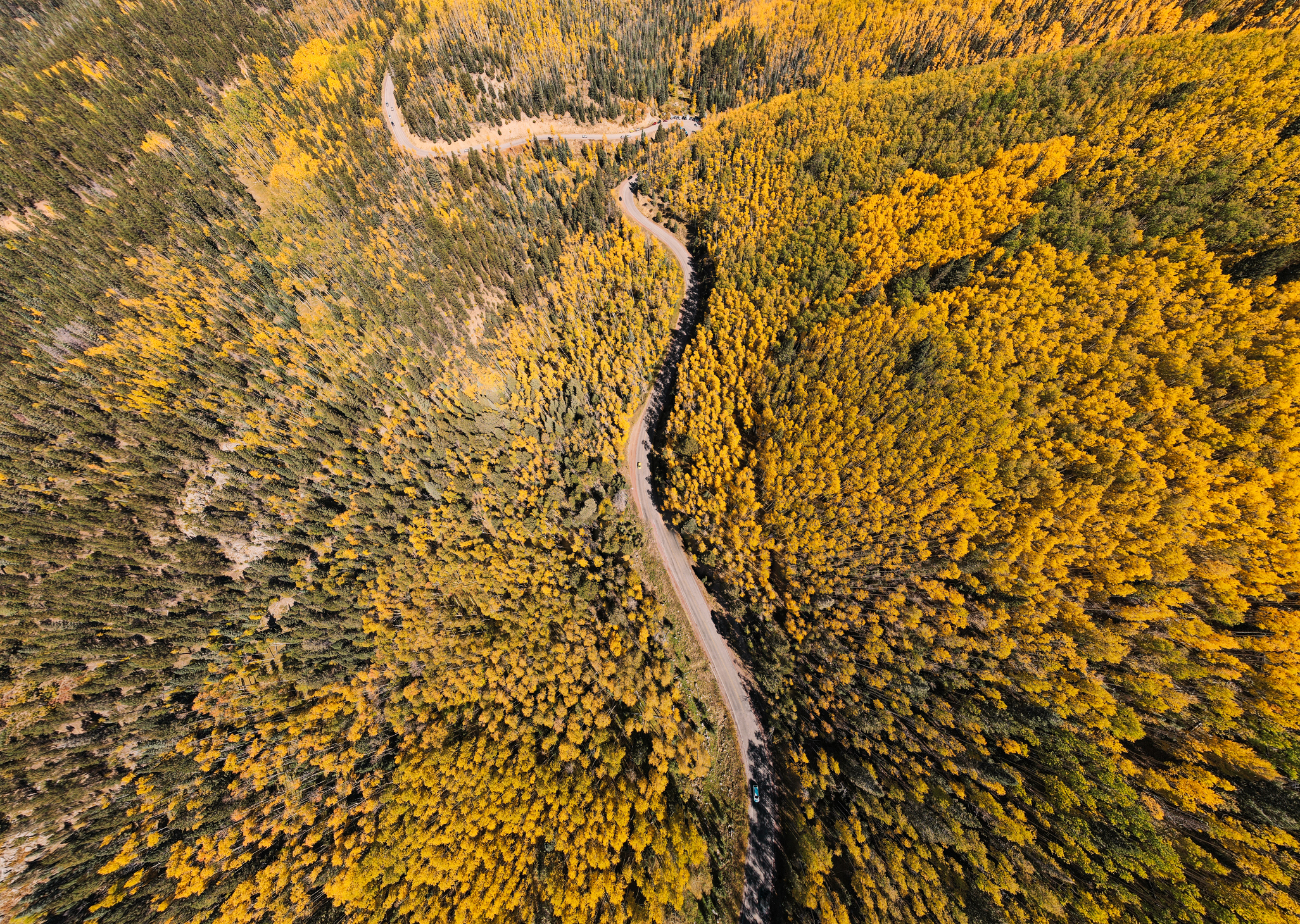 Drone footage of an aerial view of public hunting land.