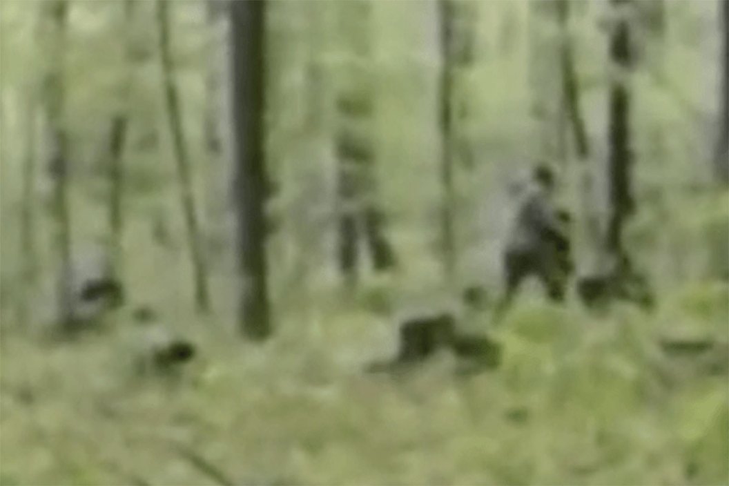 bigfoot