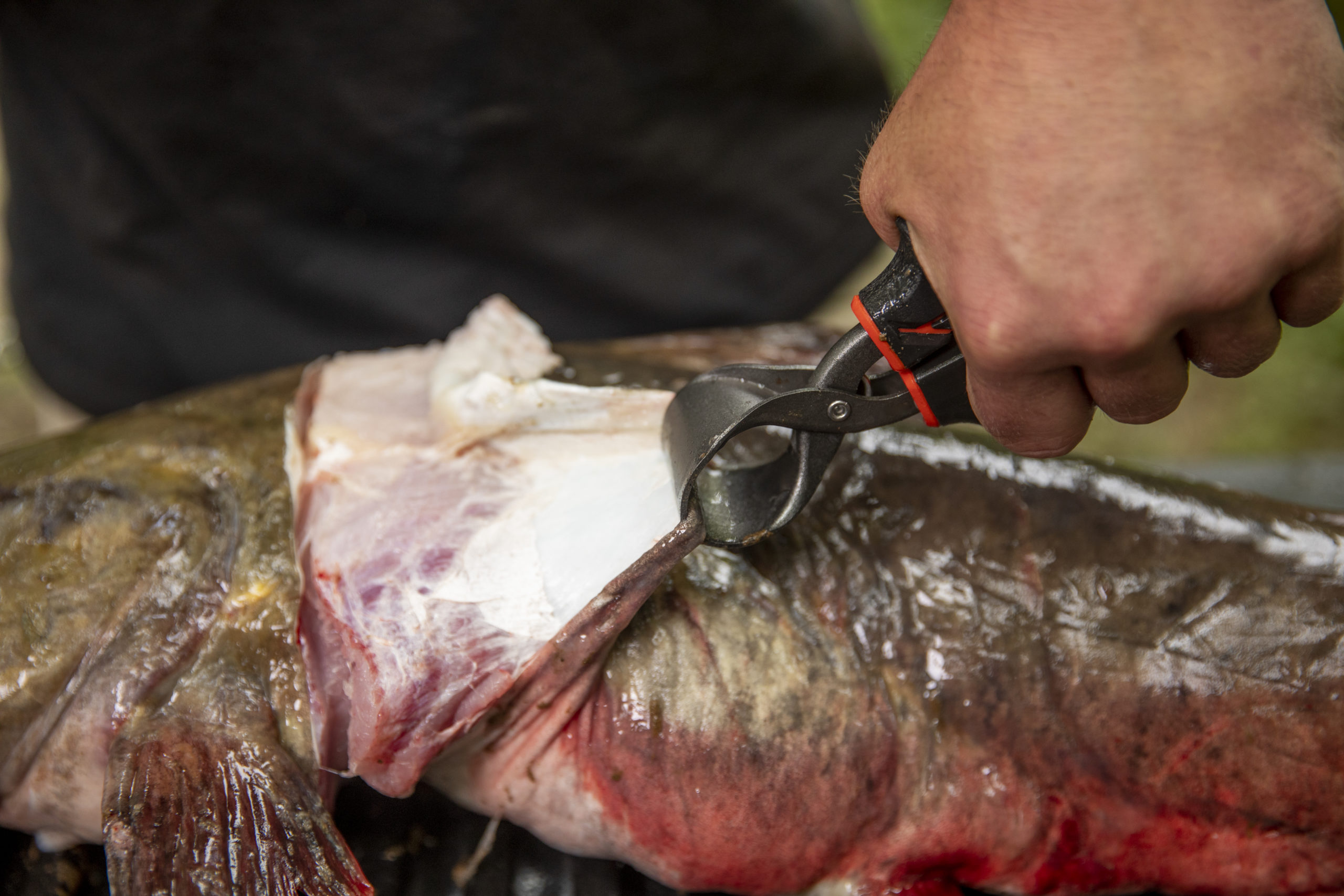 Ugly Stik Ugly Tools
