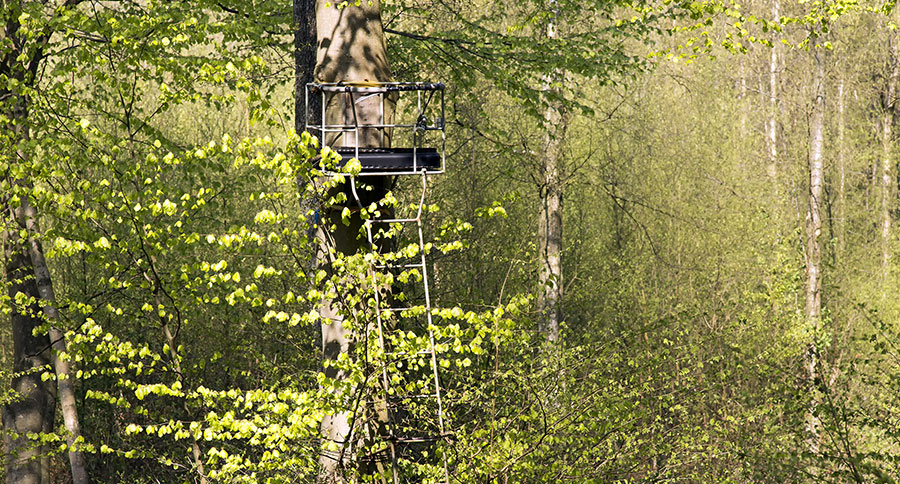 Best Ladder Treestands