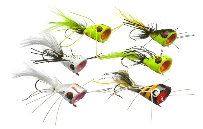 Fly Fishing For Bass