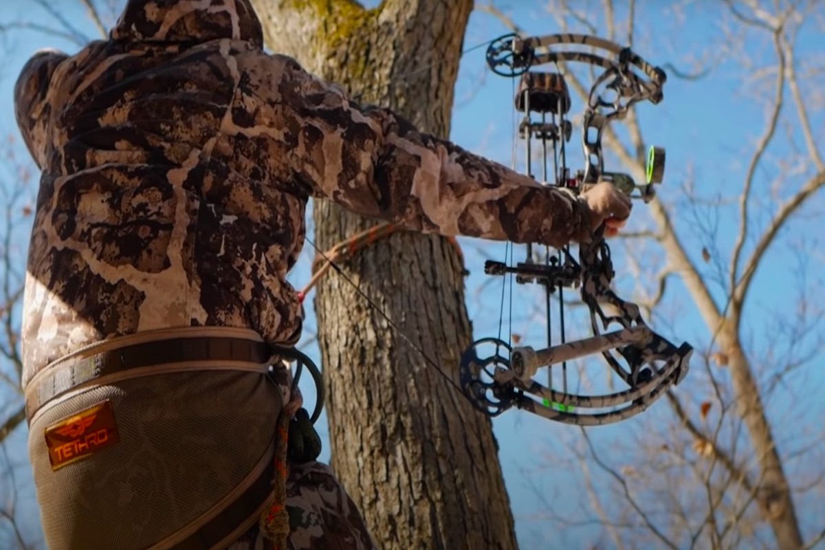 tree saddle