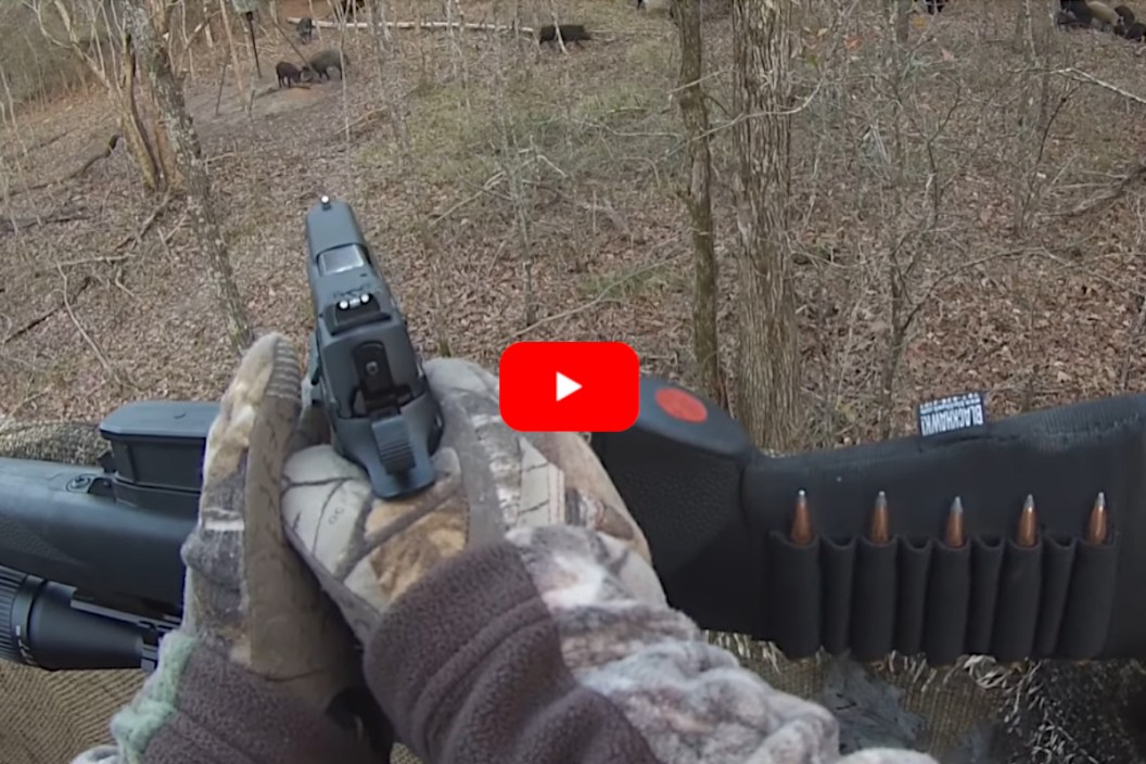 45 ACP Hogs