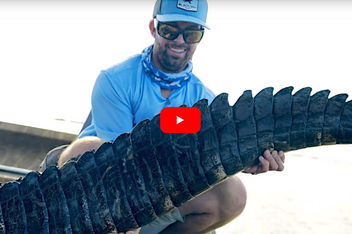 Alligator Hunt