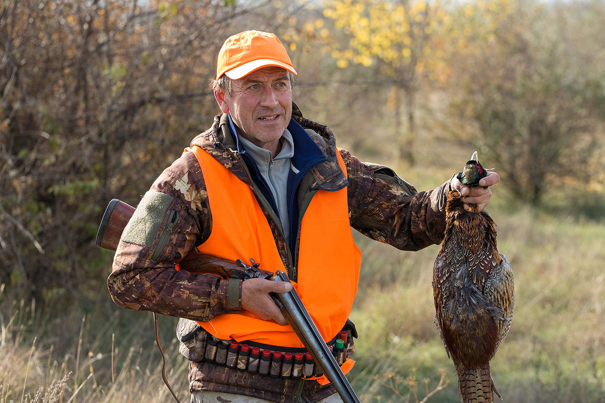 pheasant hunting