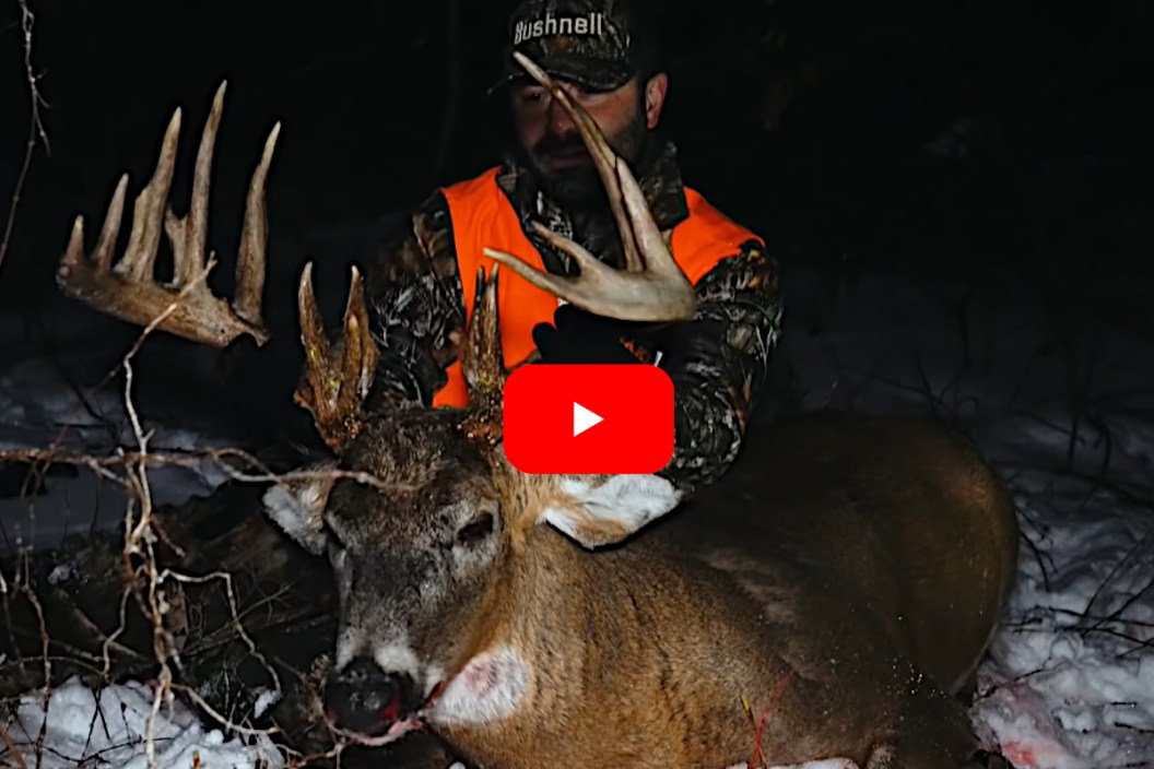 Iowa Muzzleloader Buck