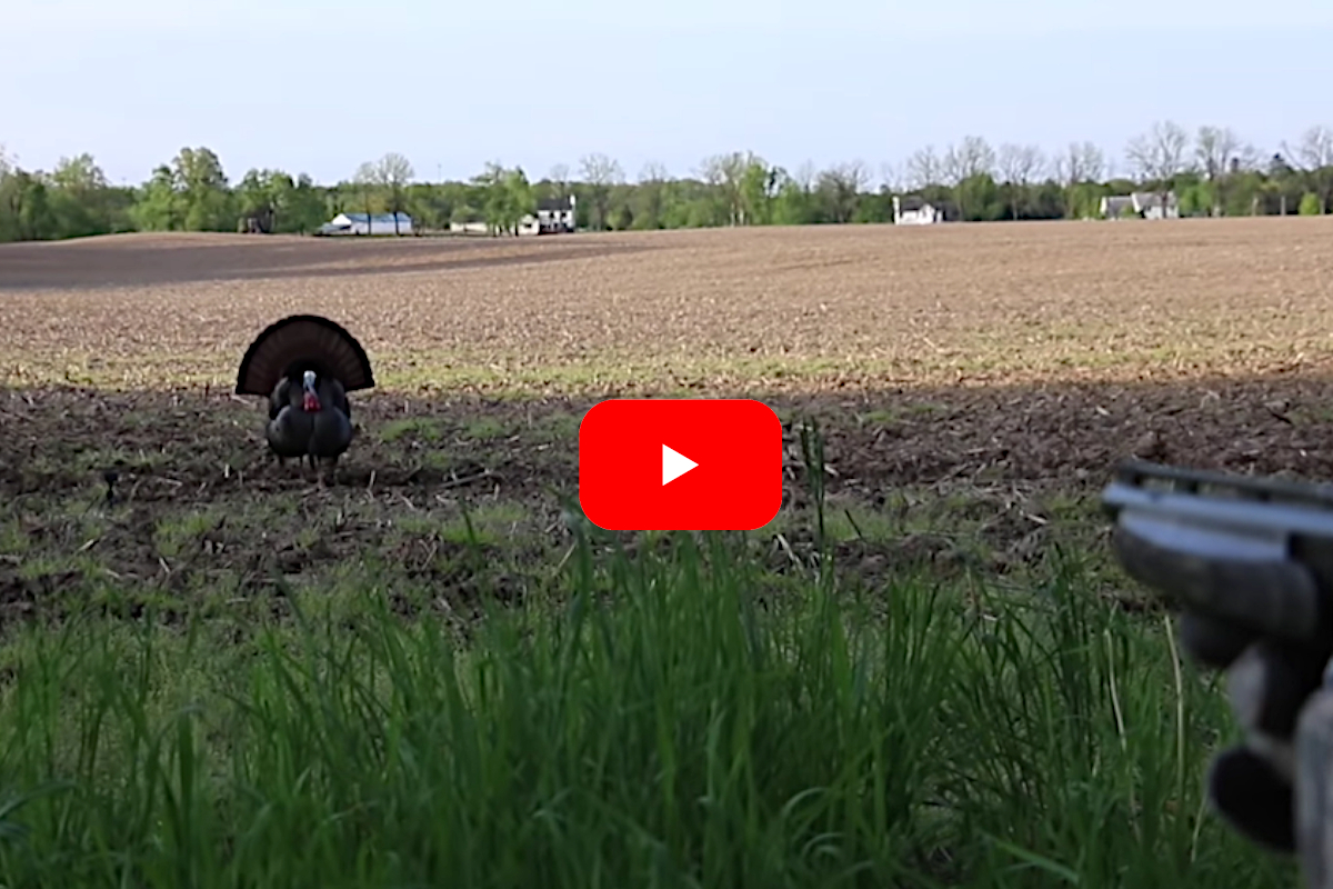 .410 Turkey