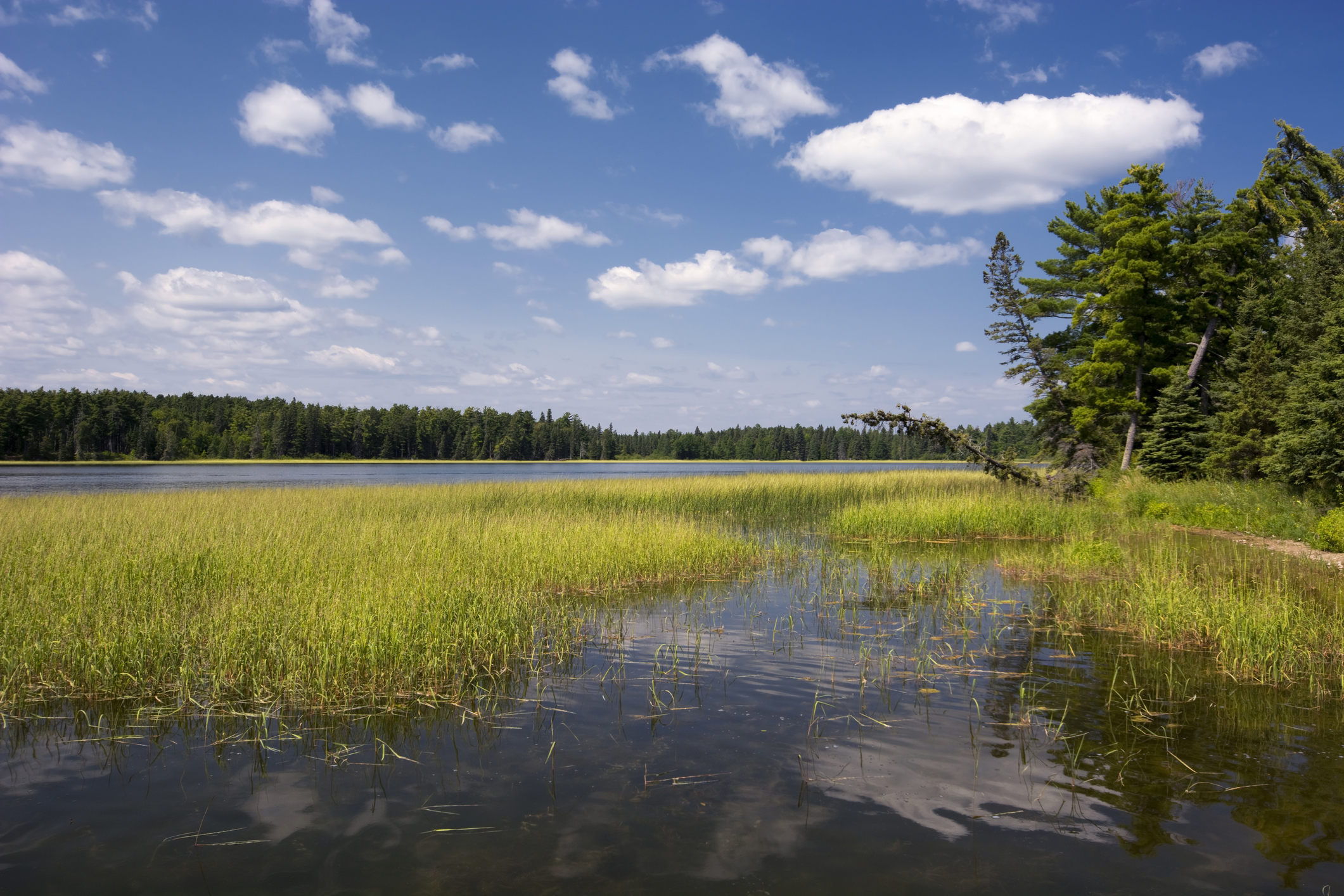 Lake Itasca in Itasca State Park, Northern Minnesota, USA.