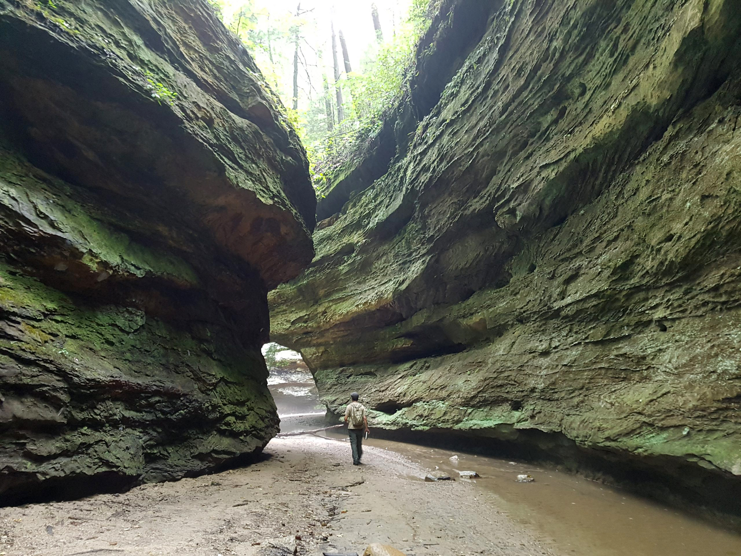 Exploring Turkey Run State Park in Indiana