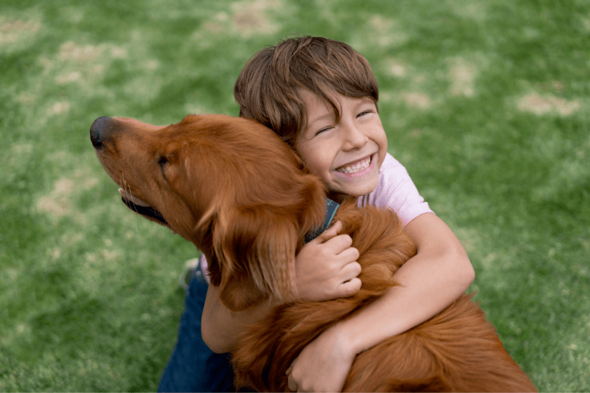 dog loved by boy
