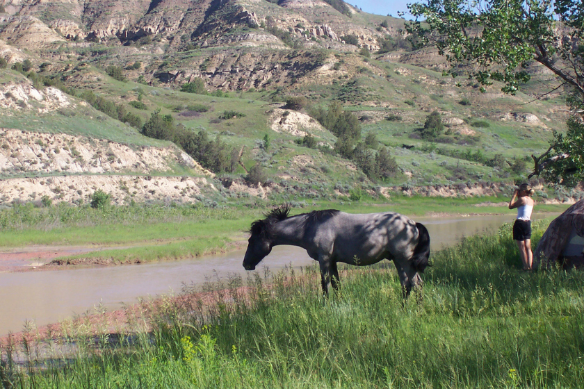 Here woman and horse commune in the Badlands.