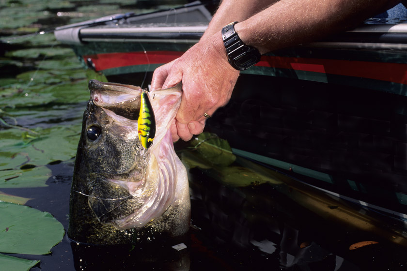 texas bass fishing