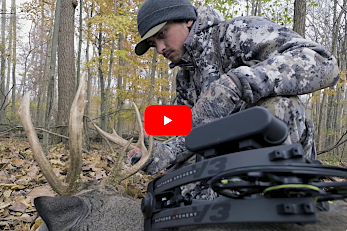 Double Beam Buck