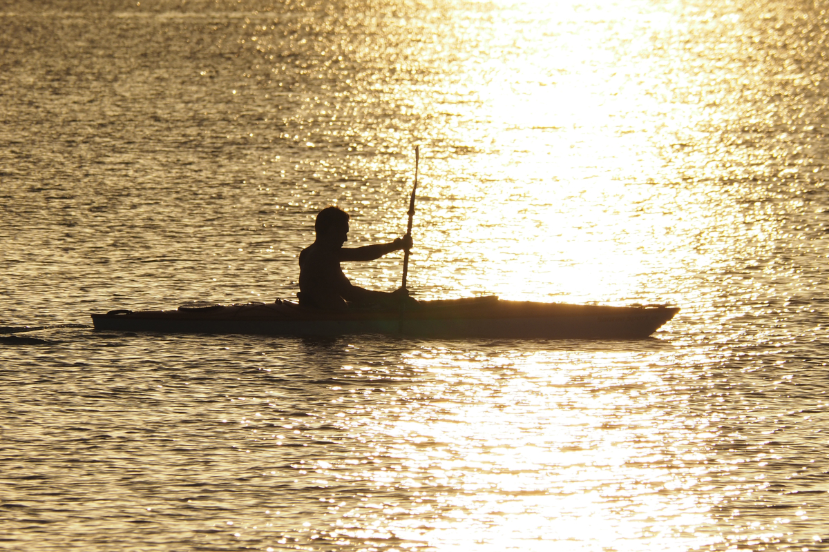 Fishing Reel Theft
