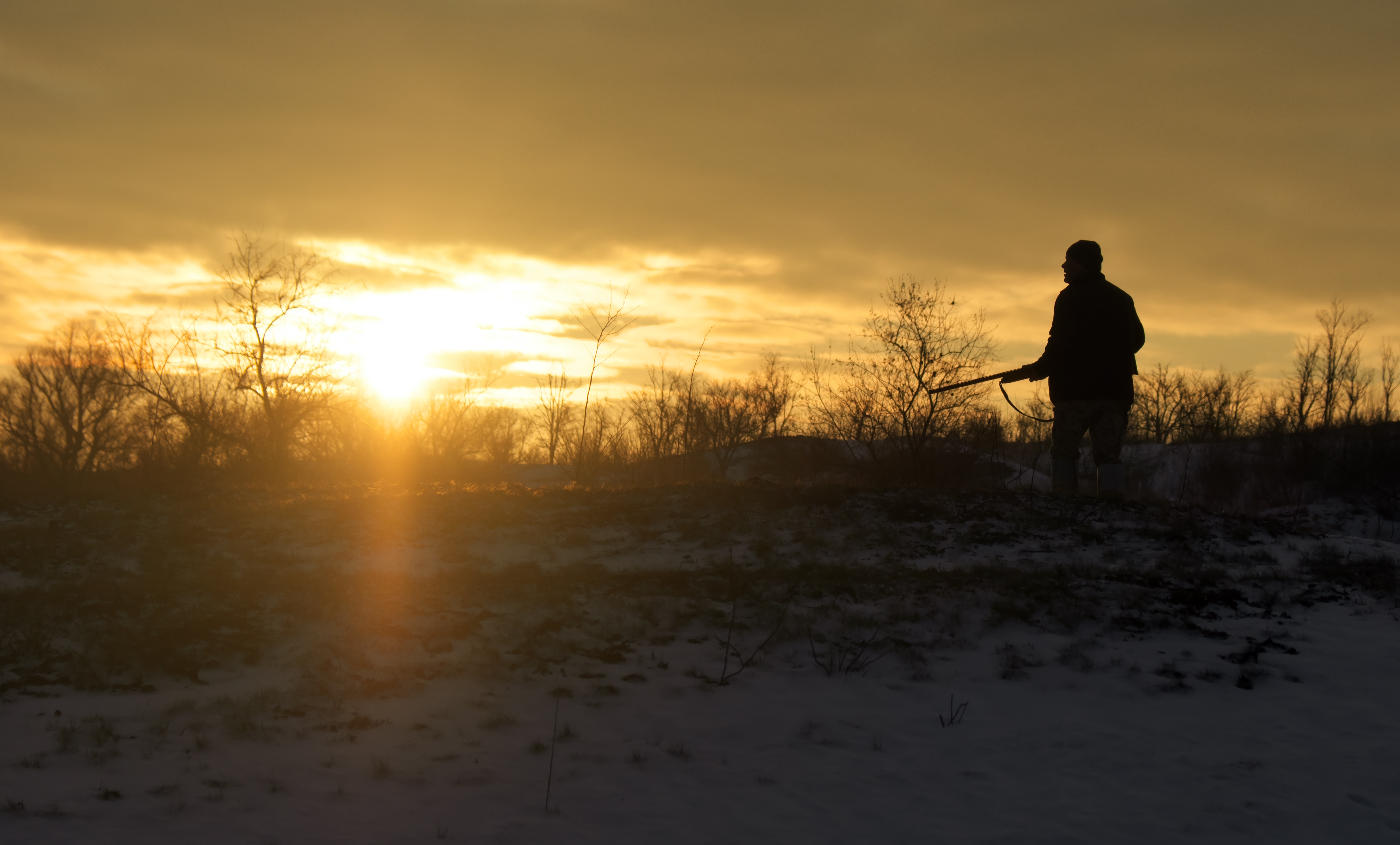 coyote hunting