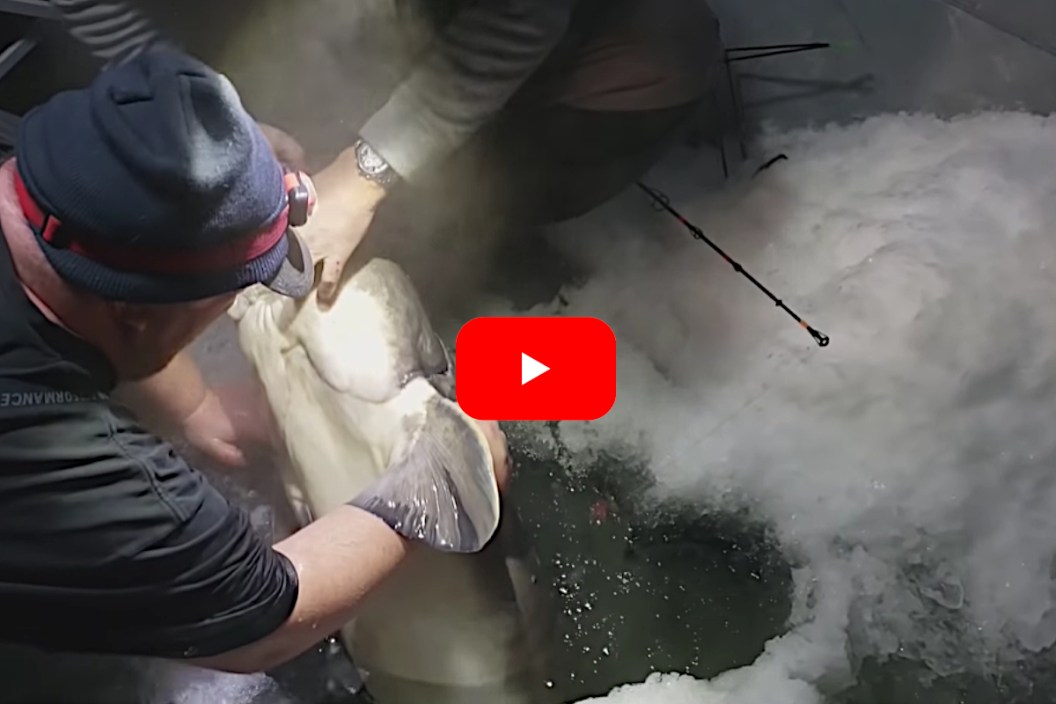 Ice Fishing Sturgeon
