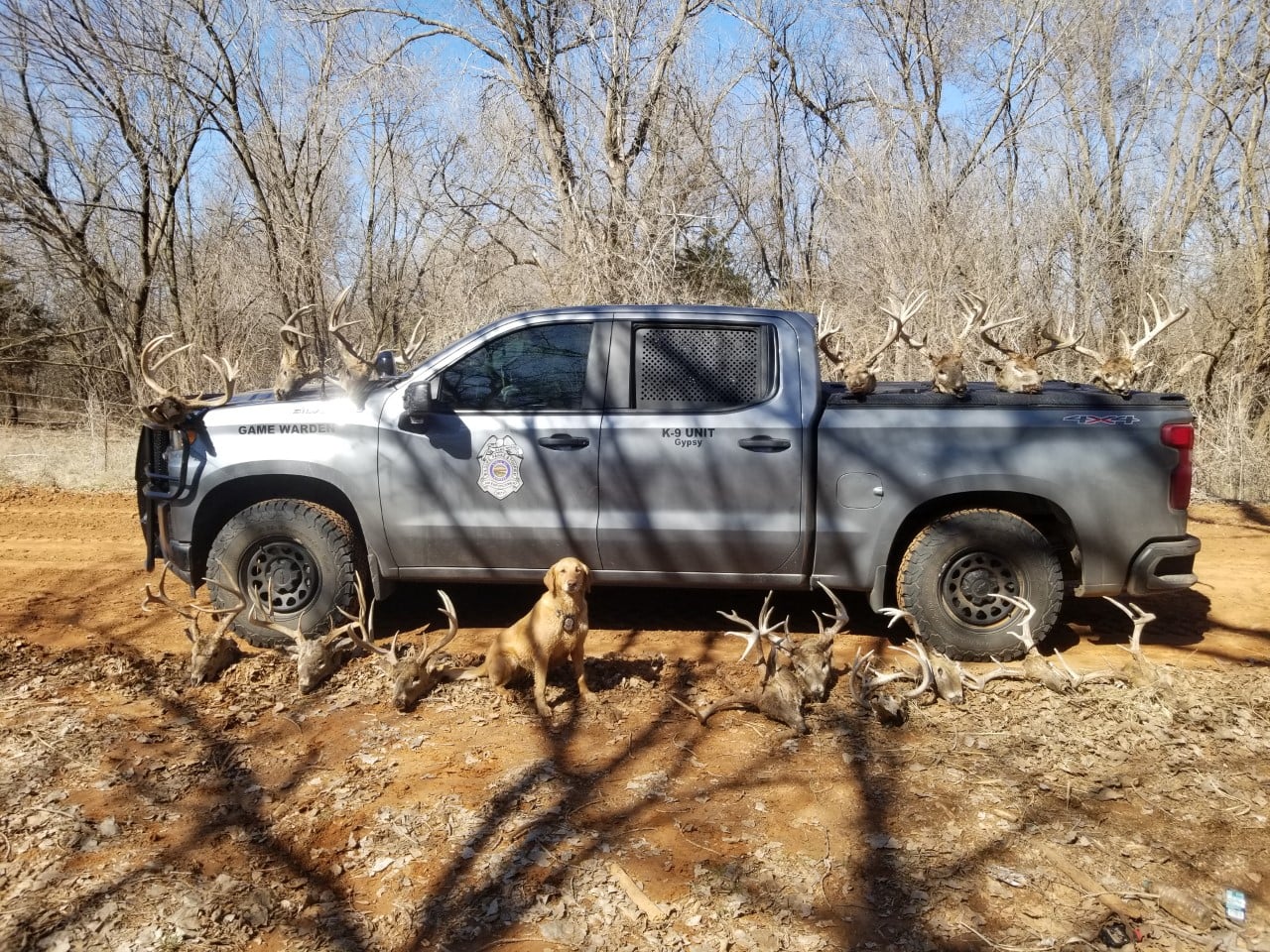 Poacher Punishments