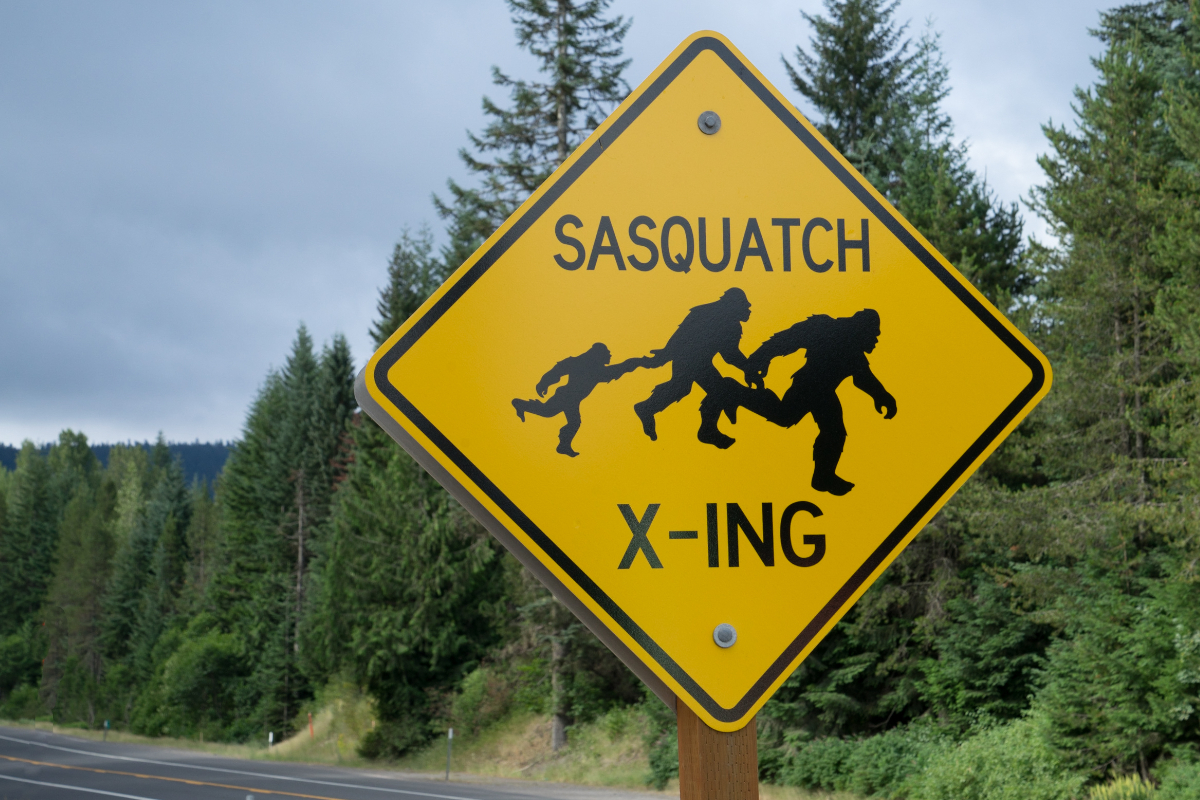 Bigfoot Bounty