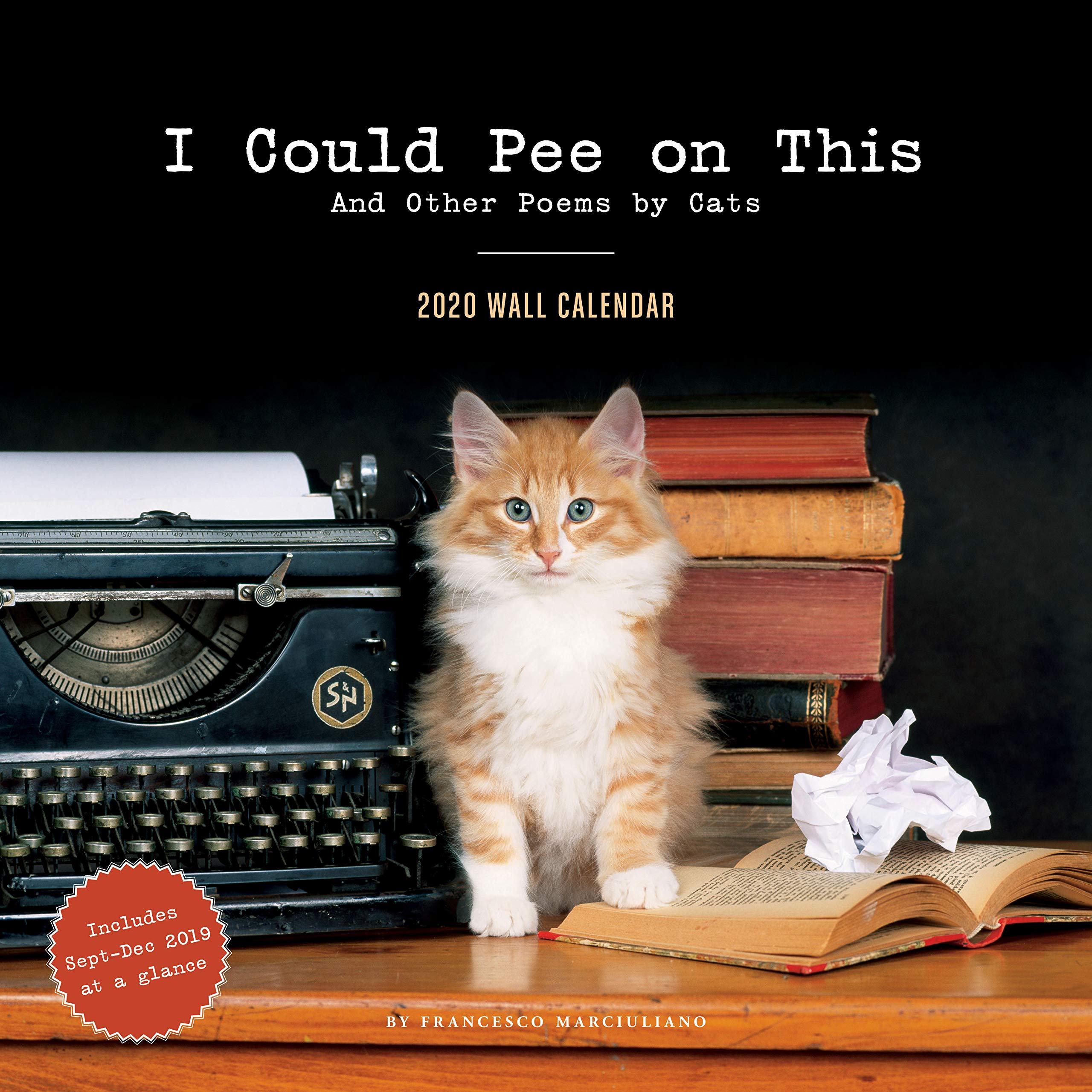 funny cat calendar