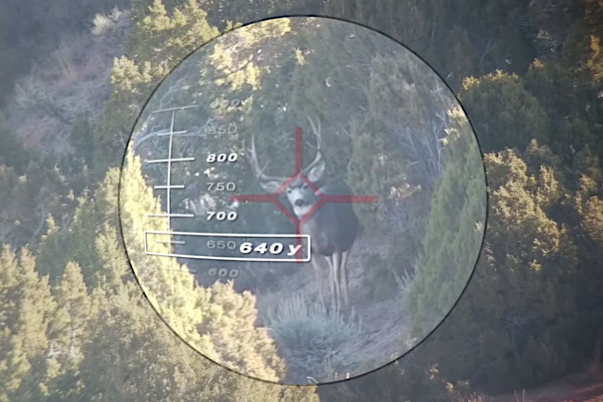 640-Yard Shot